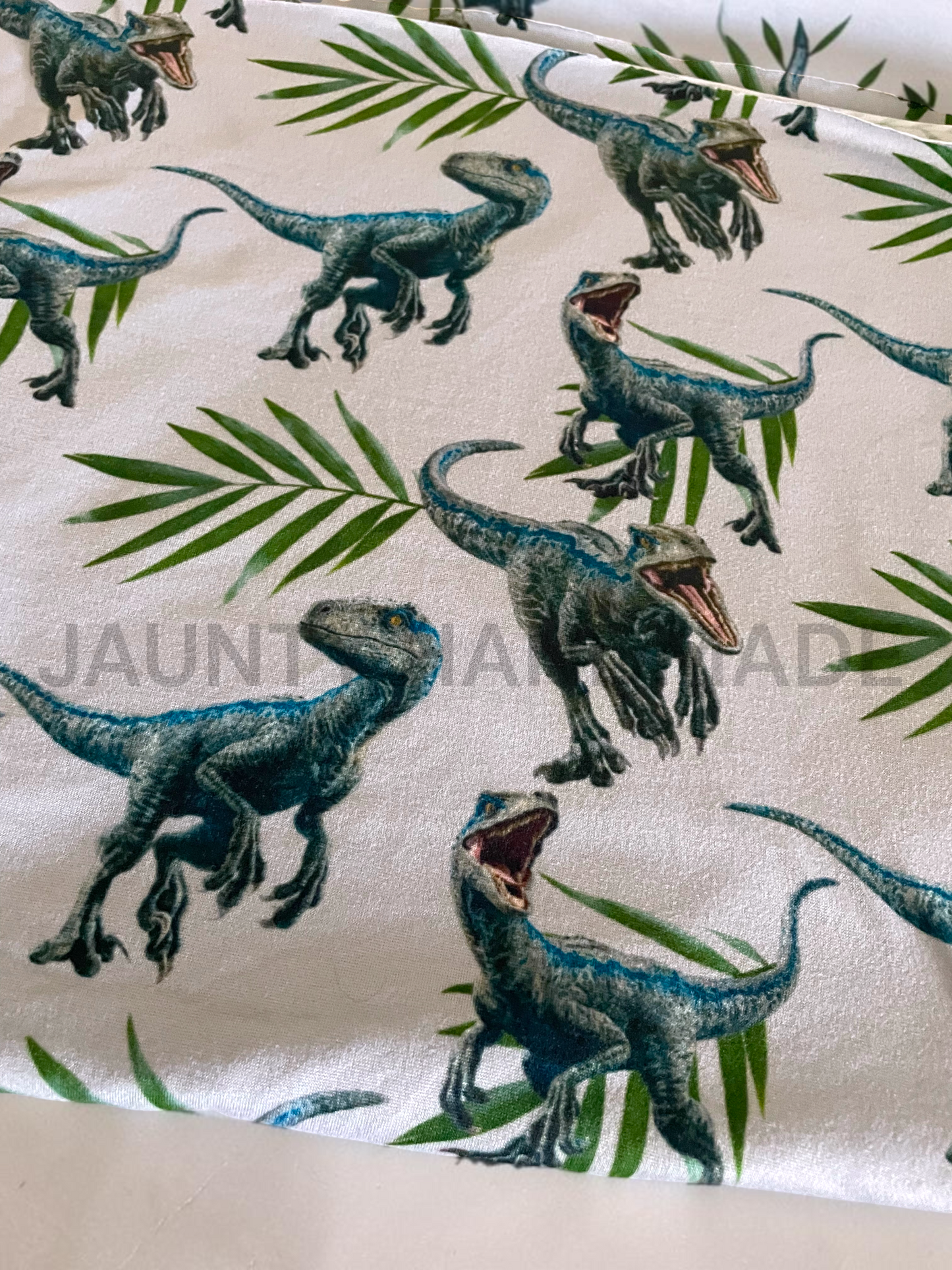RAPTOR